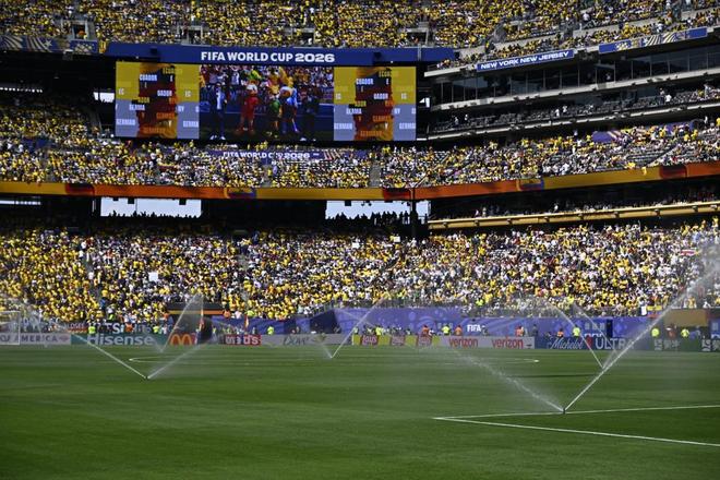 队报:FIFA出售世界杯决赛草皮碎片,8104份总价1120万美元